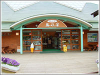 �O������@���̉w���̉�